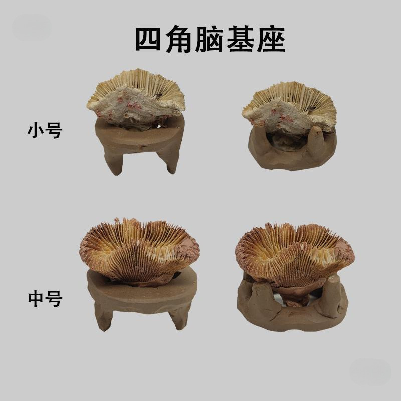 carousel-thumb-4