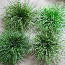 �Ѳ������ֲ���쾰�[������bٲݶѾ��^�JȔ�ݹ�ľ�ݾGֲ�@��