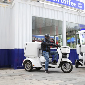 Litium batareyalı elektrikli üçtəkərli motosiklet, özünü tarazlayan skuter