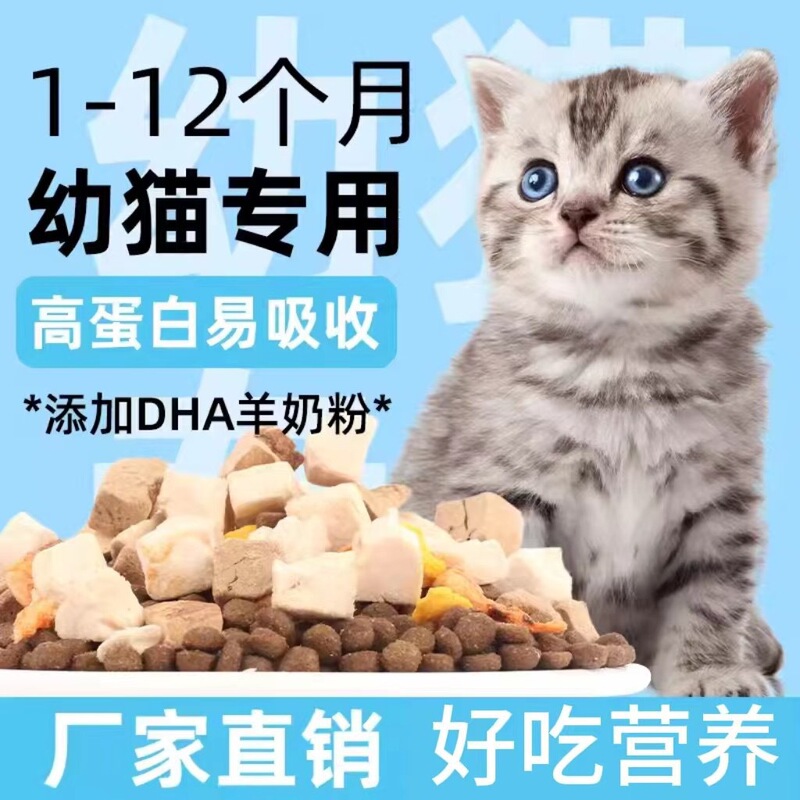 Kitten Cat Food from 1 to 3 Months to 12 Months, Special Nutritionally Balanced Nutrition, Small Milk Cat Rice, Milk Cake, Fish and Meat Freeze-Dried Food Kitten Cat Food from 1 to 3 Months to 12 Months, Special Nutritionally Balanced Nutrition, Small Milk Cat Rice, Milk Cake, Fish and Meat Freeze-Dried Food