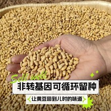 IS ɽrԷNƷN򶹝{lѿsZ؛S5