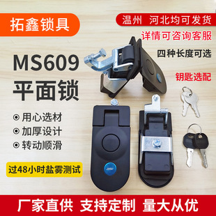 MS609�_�P���iœ�T�i�������i����܇�ϒ췿܇�i�����iMS718-3�羳