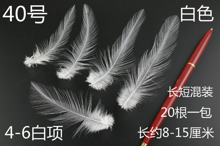 흰색 항목 4-6개, 약 20개