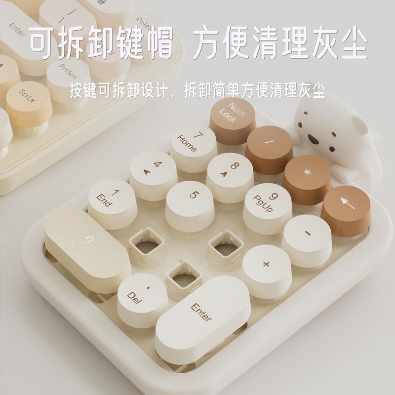 超高層の手の520無線の数字のキーボードの女子学生の高い顔の値のノートパソコンの財務の会計の外部の小さいキーボード|undefined