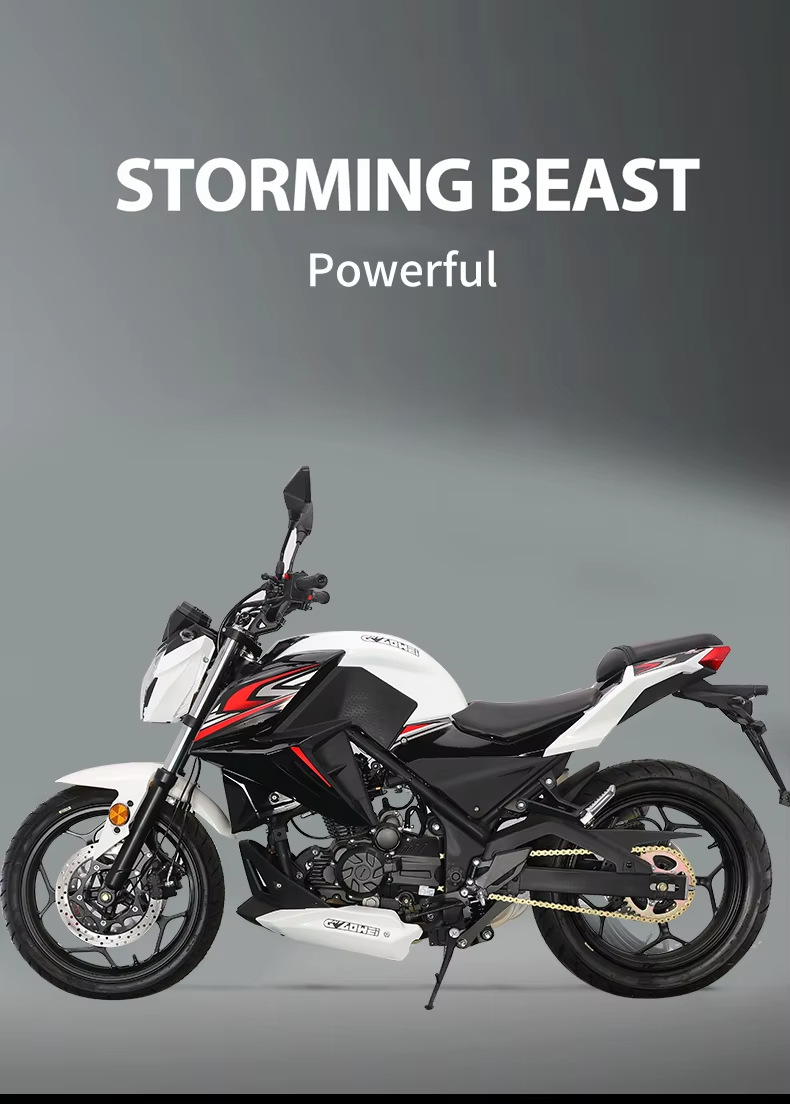 New Xixi Hurricane Motorcycle Sports Car Large Displacement Adult Cool High Speed Motorcycle Racing Wind Water Cooled
