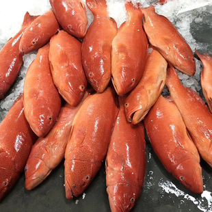 ����|�ǰߺ��ϱ��rʯ���~��~��β������͏d�Ƙ�����һ�����l