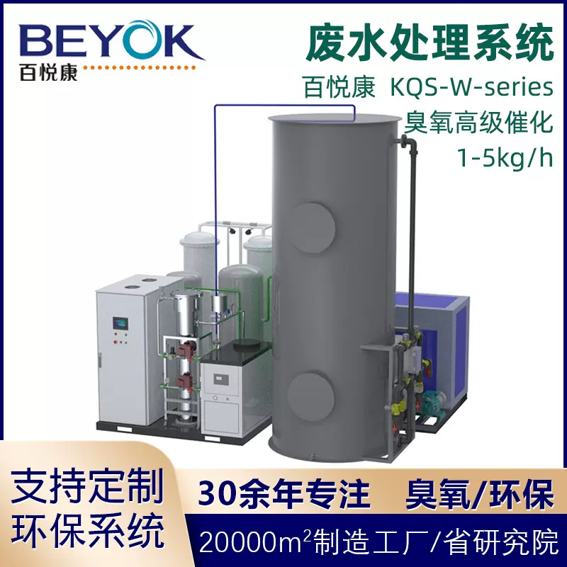 百悦康KQS-W系列废水催化1-5kg/h高级氧化难降解污臭氧水处理设备
