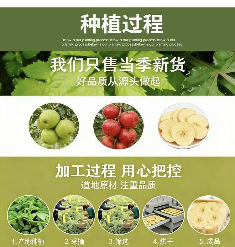 Freeze-Dried Apple Rings (Malus domestica) — Unsweetened Dried Fruit for Tea & Soup preparation