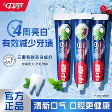 正品护龈批发中华健齿牙膏双钙防蛀成人含氟家庭实惠装薄荷官方