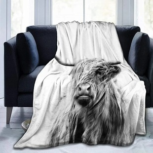 Cross-border Daifa Highland Cattle Blanket Animal Scottish Scottish Horn Cattle Warm Throw Flannel Sofa Bed Sofa Blanket