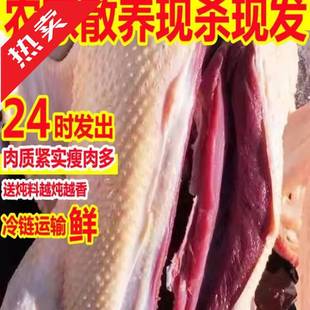�Z��ֻ����Z�Z�����Z��ɢ�B���Z���Z��������ϰ����l