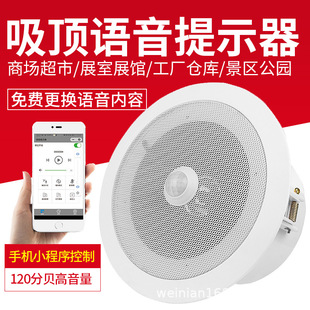 Venetian New Ceiling Voice Prompter Shopping Mall Supermarket Building Reminder Promotional Broadcasting Speaker Player
