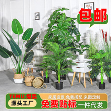 �����Gֲ���������B����ֲ�� �҃��辰�lؔ�٘�������˽�����