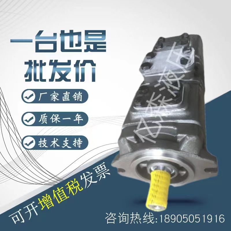 美国SUNNY伺服齿轮泵HG22系列HG22-160-100-01R-VPC液压双联油泵