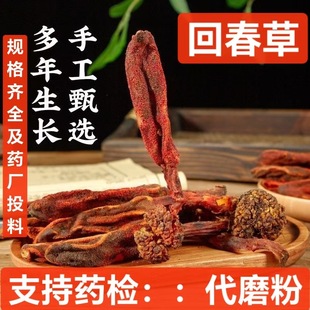 �ش��� ��ϸ�؛ �ش�����ș�����l���ϲݶ����� һ�����l ��ĥ��