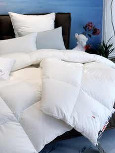 White Goose Down Quilt Core Spring and Autumn Quilt Goose Quilt Thickened Warm Quilt Double High-end Four Seasons Cotton Bedding