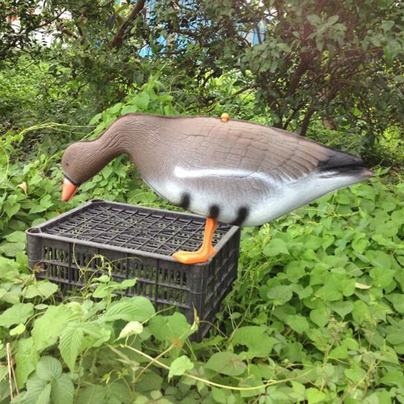 家禽餌カナダアメリカ七面鳥園林偽アヒル狩猟餌浮水鴨ロシアガチョウ|undefined