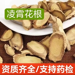 ��ș�� ������ ������ �������� ���ڸ��� ��ޱ�� ��������