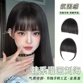 假发马尾;假发刘海;其他假发
