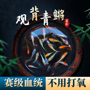 �^�����F�^�p�~���B�ͻ��ԁ�ˮ��ˮС�ͻ��w��������ȸ���B���B�~