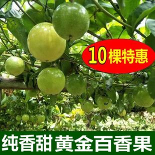 ��������S������u����������̨�r�m�����Ե����̨������