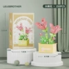 Lele Brothers 1604-05