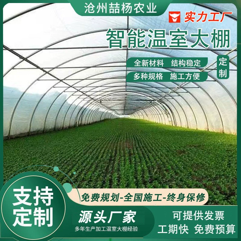 Один фильм парниковых селекции посадка парниковых умный парниковых фильм парниковых