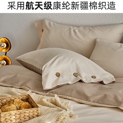 High-end Autumn/Winter Casual 100% Cotton Fleece Double-Sided Napped Quilt Set with Thickening and Skin-Friendly Naked Sleep Solid Color Bedding