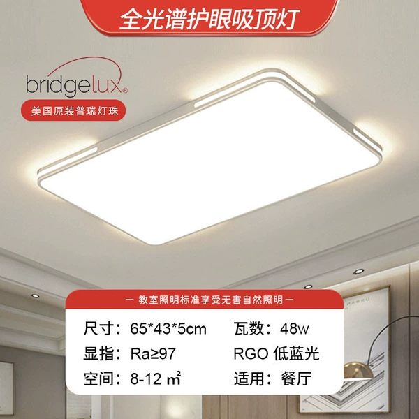 [Puri Full Spectrum] 65*43cm Rectangular-48W-Leap Style