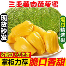 ���ϲ��}�� �S��ɰ����������rˮ�����]ľ���} һ����