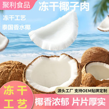 冻干椰子冻干椰子片 即食椰子块 冻干椰子肉海南椰子肉薄脆椰子肉
