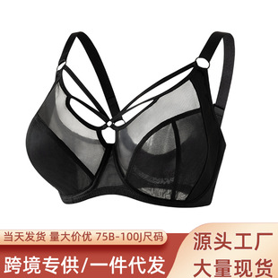 �羳�����@С���´�aȫ�ֱ�Ů�ĳ�����͸��۔n���´����S���l