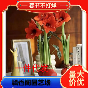 һ�����l�M���D����피t�D����피tʯϞ��피t���˾Gֲ��Y������