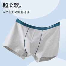 男士纯棉平角内裤时尚撞色腰带字母印花石墨烯抑菌裆部四角裤短裤