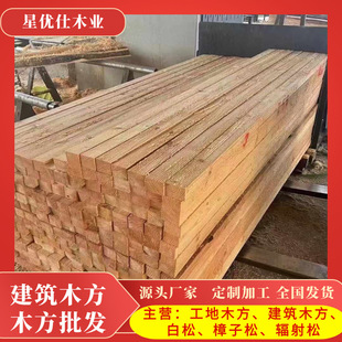 �S�����l���� ݗ����ľ������ľ�����B��ľ �Fɼ�����Ƀr������