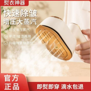 Handheld Garment Ironing Machine Small Dormitory Household Mini Steam Electric Iron Ironing Artifact Portable New Model