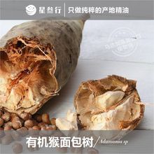 ��������� �R�_��˹�Ӯa�� �o�w��Ħ��ֲ����A�ͻ�����ԭ�����l