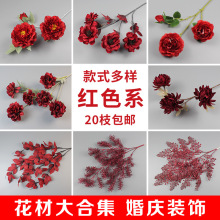 ���滨�tɫϵ��Y���b����ĵ���hѩ�ѻ����F������c����·��