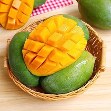 优普四川凯特芒果新鲜水果芒果包邮当季水果凯特芒果一件代发