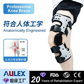 保健护具;护踝;运动护膝