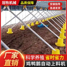 养鸡场自动喂料机养鸭自动喂料机投料机绞龙料线鸡鸭鹅用简易料线