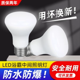 LED玉米灯;LED球泡灯;路灯