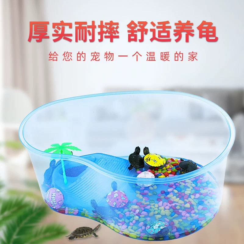 Черепаха танк с Sunstand Маленькая зона кормления дерева Тип манго Синий Черепаха Размер коробки Черепаха Кормление Box Ландшафтный Черепаха Горшок