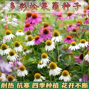 �ɹ��շN���޸��ļ��������ͺ��͟����F�ջ���ͥԺ�̨���ԷN����