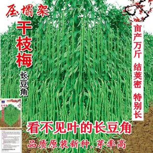 �������L���L���ǷN�ӡ������N���ļ����Ѹ߮a���촺�＾�·N��