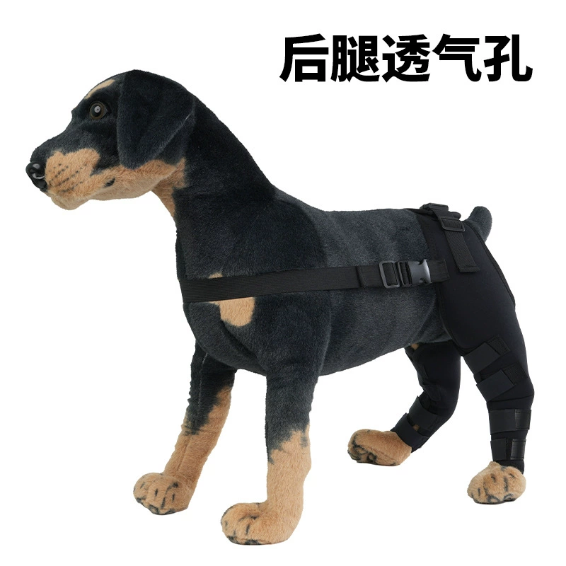 Трансграничные домашние животные дышащие леггинсы