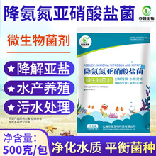 【亦强】生物菌  降氨氮亚硝酸盐调节水质藻类污水处理微生物菌剂