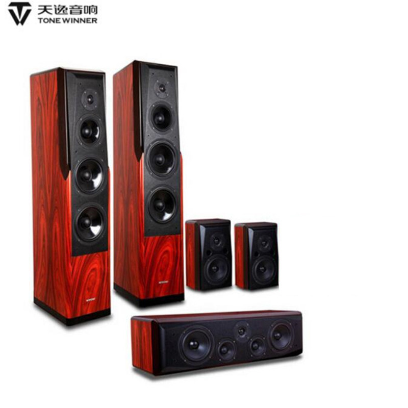 Tianyi (Winner) Tongdi No.8 TD-8 Home Theater Speaker Set 5.1 Channel Home Audio