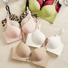 2025¿ŮСؾ۔n@oȦո´o[