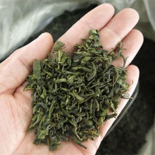 茶叶山东日照绿茶特产散装高山云雾新茶一斤500g1000g跨境代发